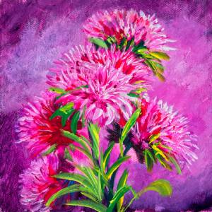 Aster Autumn Flowers