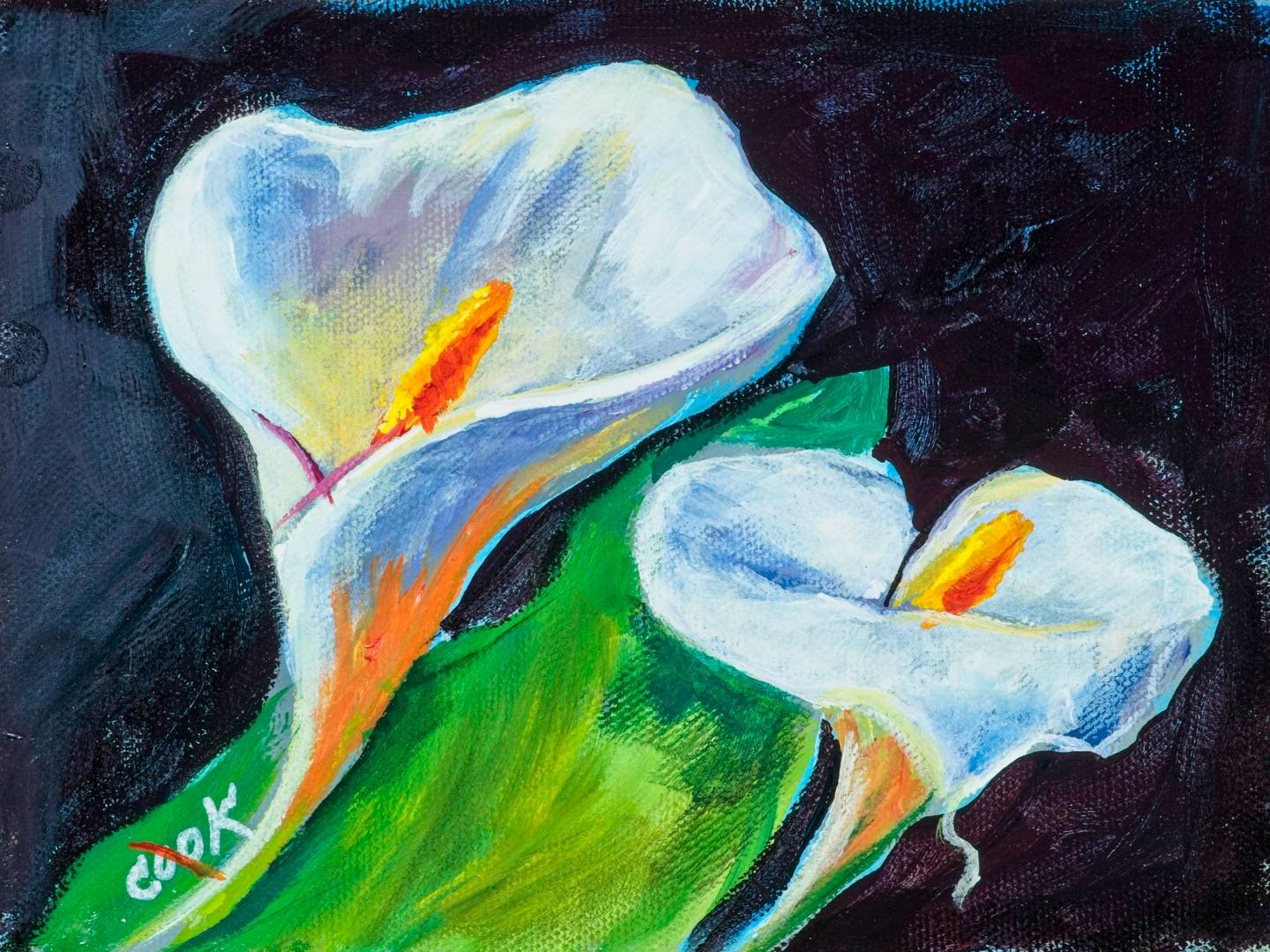 Two White Calla Lily Flowers – Qq #22 – Academy Of Fine Art And Acrylic 