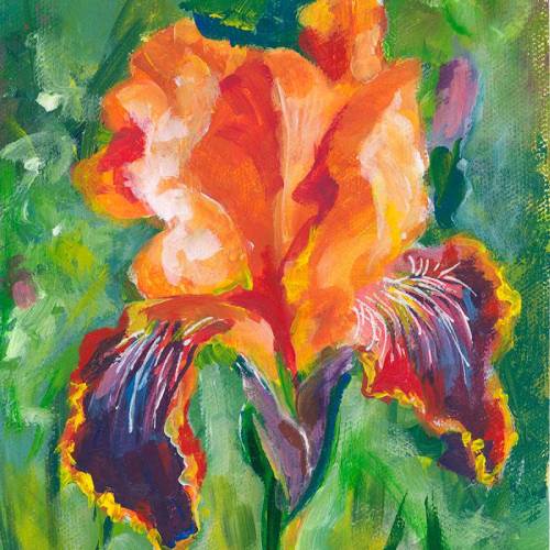 Iris Flower 6-Colors
