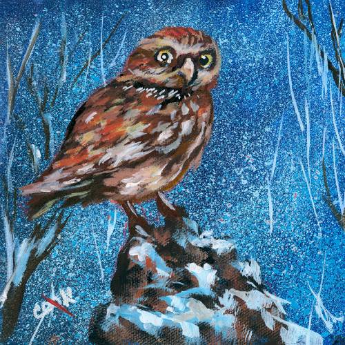 Owl in the Snowy Forest