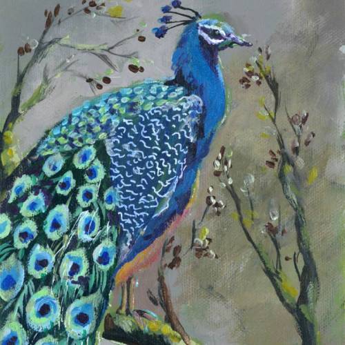 Sir Patrick the Handsome Peacock