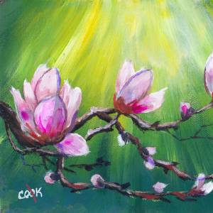 Spring Magnolia Blossom