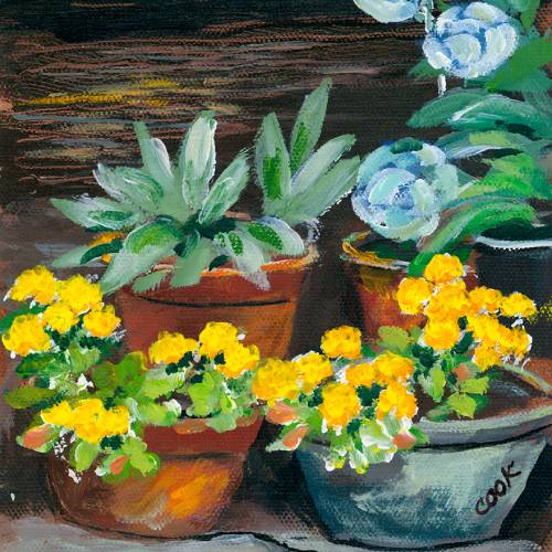Cropped Pots – Crop Challenge #4