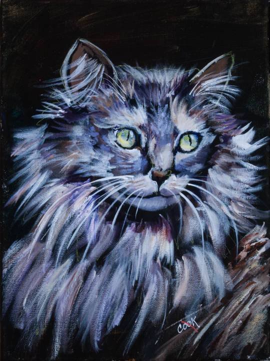 Eclipse the Cat – How to Paint Fur and Eyes on a Long Haired Cat ...