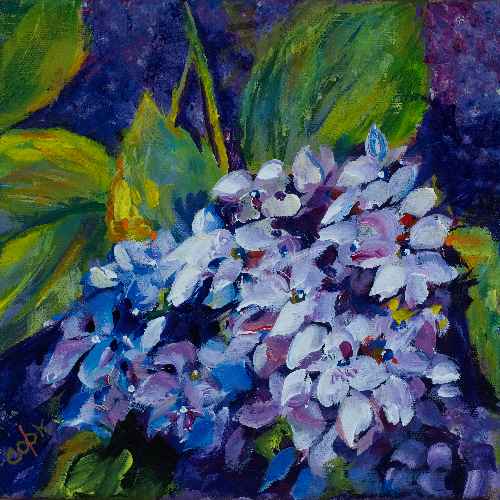Astrus Liu Flower on Purple Background – Tutorial