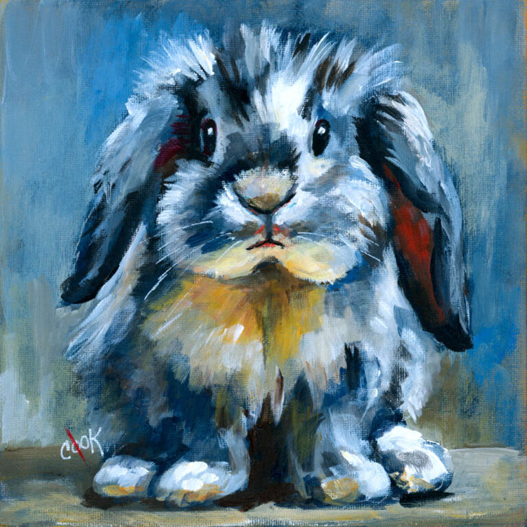 Fluffy Lop-Eared Bunny