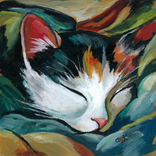 Sleeping Cat