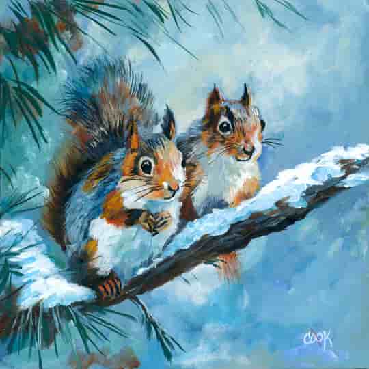 Squirrels on a Branch
