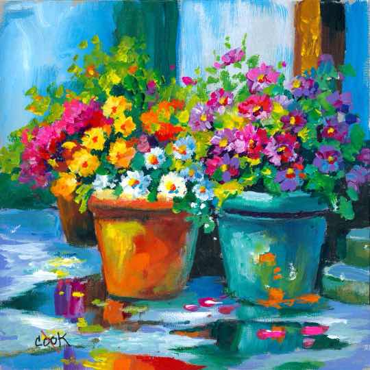 Flower Pots after Rain